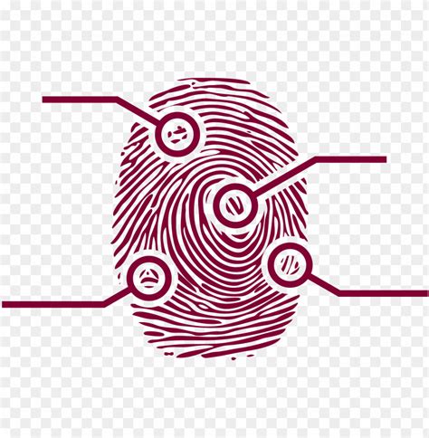Clipart - Fingerprint - Fingerprint Clip Art PNG Transparent With Clear ...