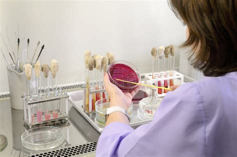 Lab Assistant Work 的图像结果