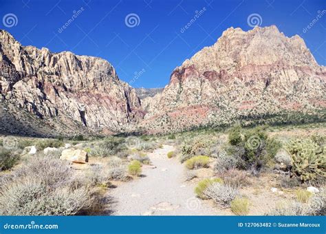 First Creek Trail, Red Rock National Conservation Area, Nevada Stock ...