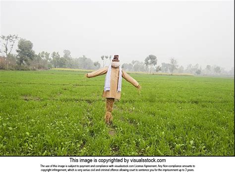 Buy Indian Stock Images | Indian Photo Bank | Stock Photography