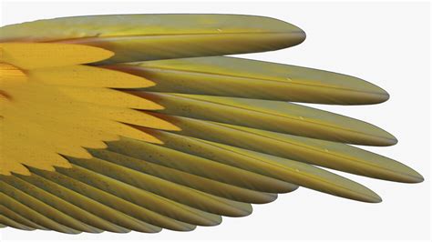 3D model Blue and Yellow Macaw Parrot Rigged | 3D Molier International