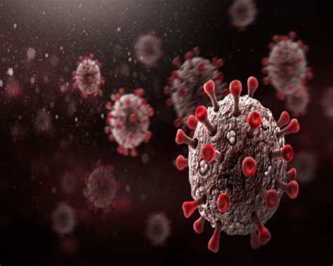 Study explores ways to get super immunity against Covid-19