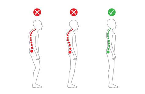 Body Alignment Test 的图像结果