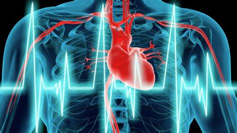 Image result for Heart Rate Variability Testing