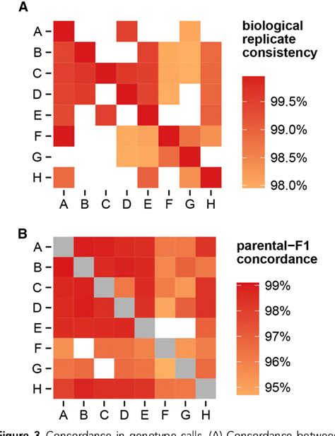 Image result for Muga Scan Lab Results