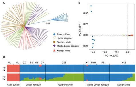 Inference of Genetic Diversity, Population Structure, and Selection ...
