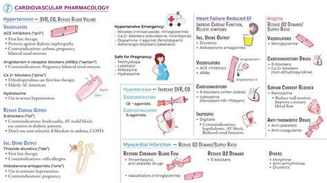 USMLE / COMLEX - Step 1: Cardiovascular Pharmacology | ditki medical & biological sciences
