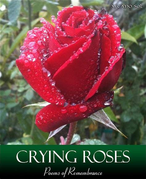 Crying Roses: Poems of Remembrance eBook : Sol, Xicano: Amazon.in ...