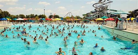 Charlotte Tourism: All You Need to Know Before You Go (2024)