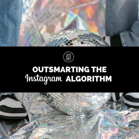 Image result for Instagram Algorithm Funny