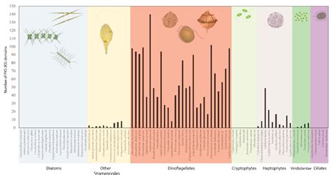 The Genetic Basis of Toxin Biosynthesis in Dinoflagellates