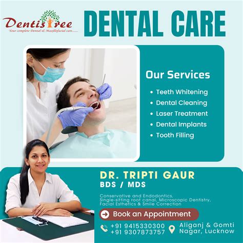 Dentistree Dental Care