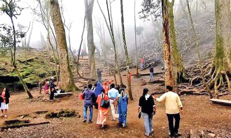 Tourism Sector will play crucial role in TN govt’s USD 1 Trillion Dream ...