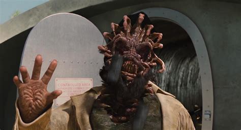 Boris The Animal Face