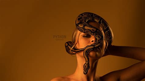 Image result for Python vs Beauty