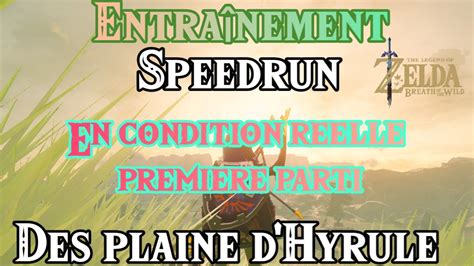 Image result for BOTW Speed Run Tutorial
