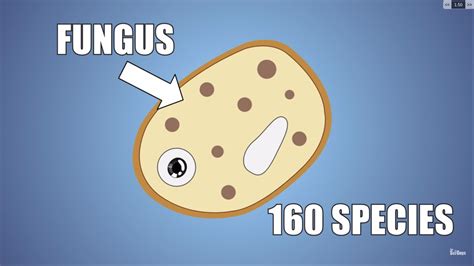 Cooking Methods | @avimehenwal