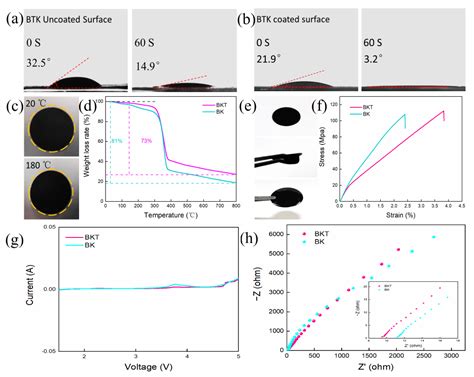 Preparation of Bacterial Cellulose/Ketjen Black-TiO2 Composite ...