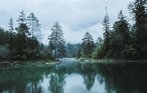 daemones-angeli on Tumblr