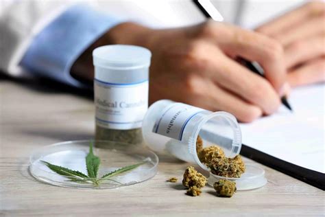 What Do Muscle Relaxers Do: A Look at Their Side Effects and Benefits - Elev8 Centers - Elev8 ...