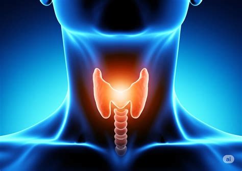 Balancing Your Thyroid Naturally: The DIP Diet and Herbal Support