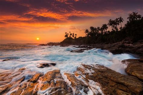 Image result for Python Progrm Images