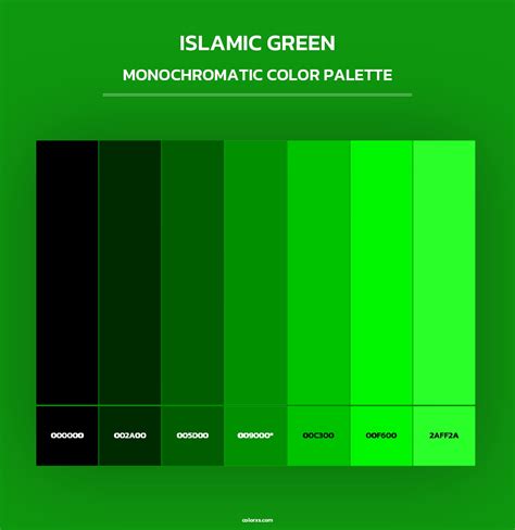 Islamic Green color palettes - colorxs.com