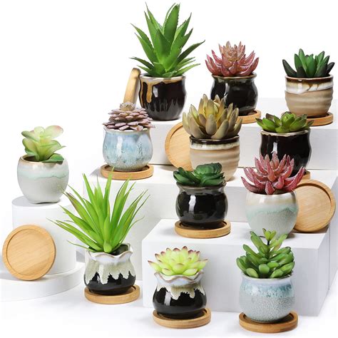 Small Succulent Pots: Top Picks for 2023 - louistheplantgeek.com