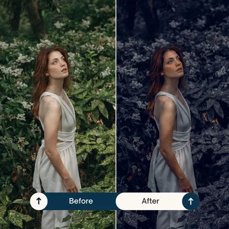 Great Lightroom Presets 2025: Best Free & Premium LR Filters