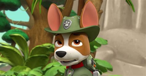 Résumé et casting Paw Patrol, la Pat'Patrouille - Saison 4 Série ...