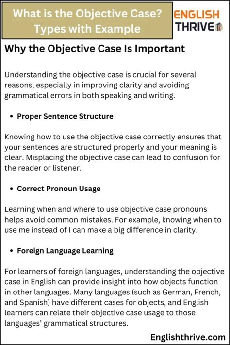 Objective Case Example 的图像结果