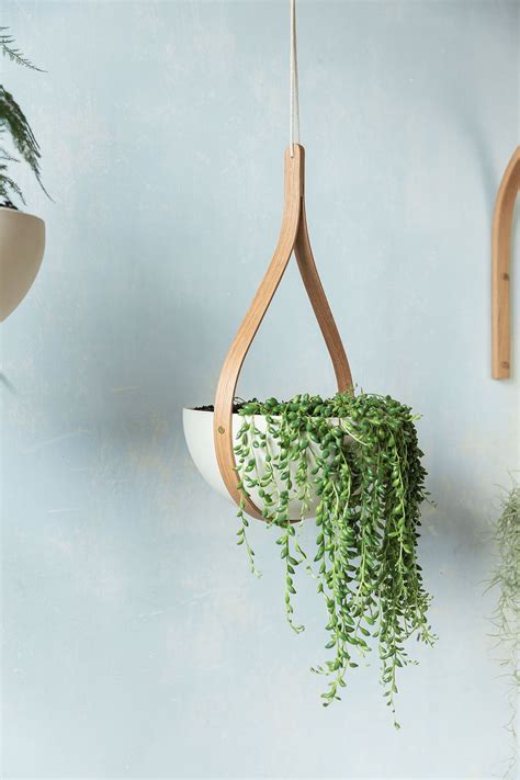 Ceiling Hanging Planter | Hanging plants, Hanging plants indoor, Plant ...