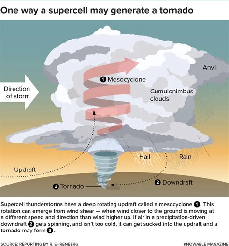How and Why Do Violent Tornadoes Form?