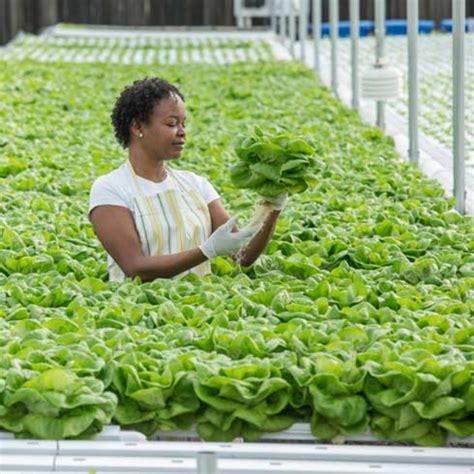 Global Specialist in Energy Management | Schneider Electric India