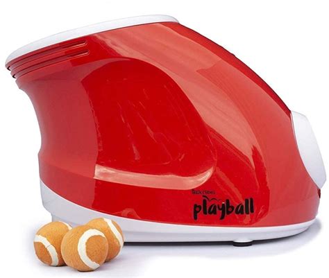 Training Dog On Automatic Fetch Machine 的图像结果