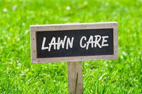 Image result for Spring Lawn Care Tips
