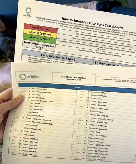 Dog Allergy Testing: Best At-Home Test (2024) - Wear Wag Repeat