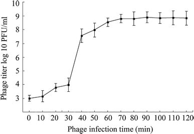 Image result for Multiple-Step Growth Curve