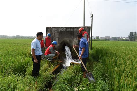 利用抽水井灌溉稻田利用地下抽水技术流入稻田. 库存照片. 图片 包括有 生长, 流动, 环境, 问题的 - 239245068