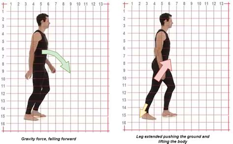 Image result for Walking Tutorial