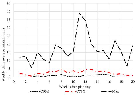 Crop Water Productivity, Applied Water Productivity and Economic ...