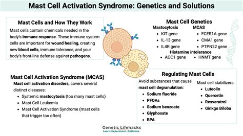 Mast Cells: MCAS, Genetics, and Solutions