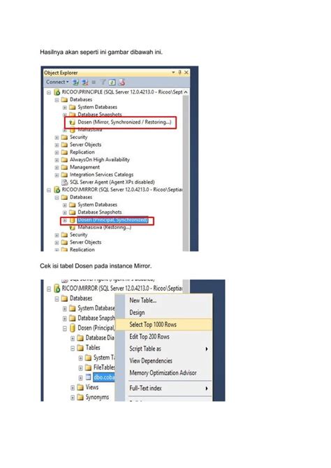 What Is Mirroring in SQL Server 的图像结果