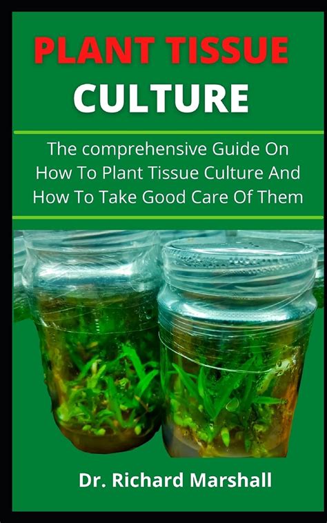 Buy Tissue Culture: The Comprehensive Guide On How To Practice Pant ...