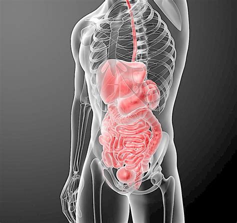 肠胃炎的确诊方法-1 - 飞华健康网