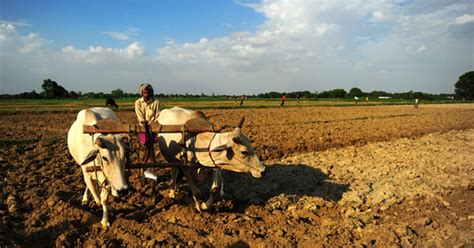[Hindi] बिहार का साप्ताहिक मौसम पूर्वानुमान (25 अप्रैल से 1 मई, 2020 ...