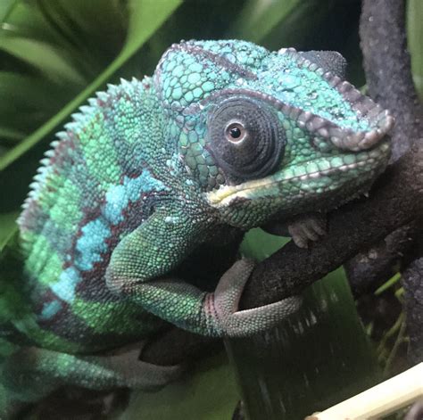 Image result for Spring Break 2021Contests