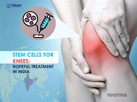 Stem Cells For Knees: Hopeful Treatment In India