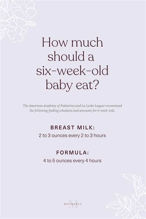 6-Week-Old Baby Feeding Schedule & Amounts - Motherly