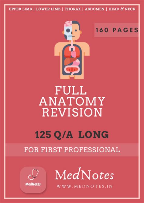 MedNotes Store - Originals